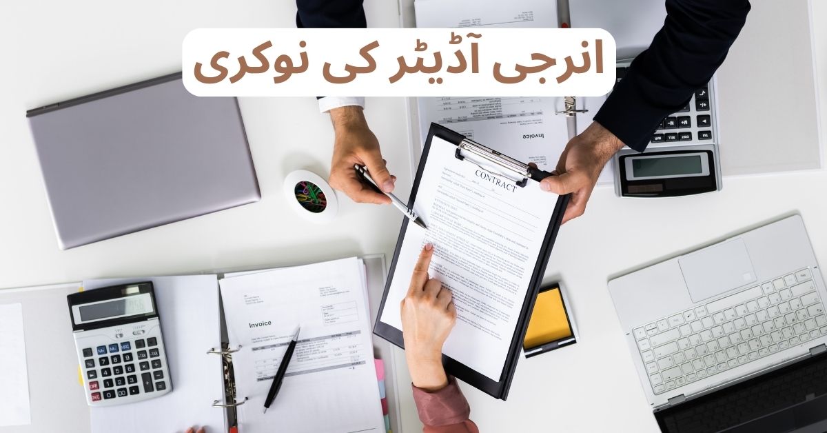 Energy Auditor Job