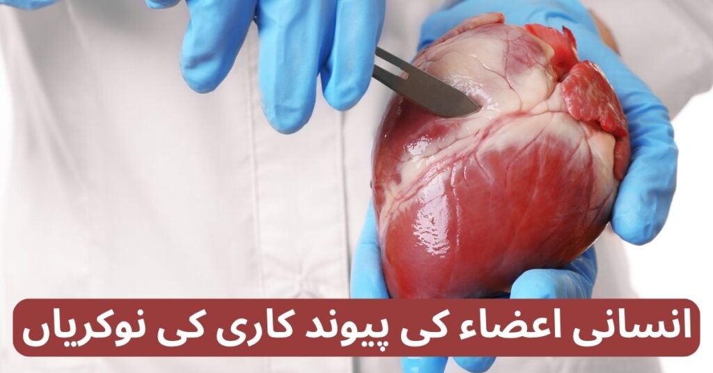 Human Organ Transplantation Jobs 2024