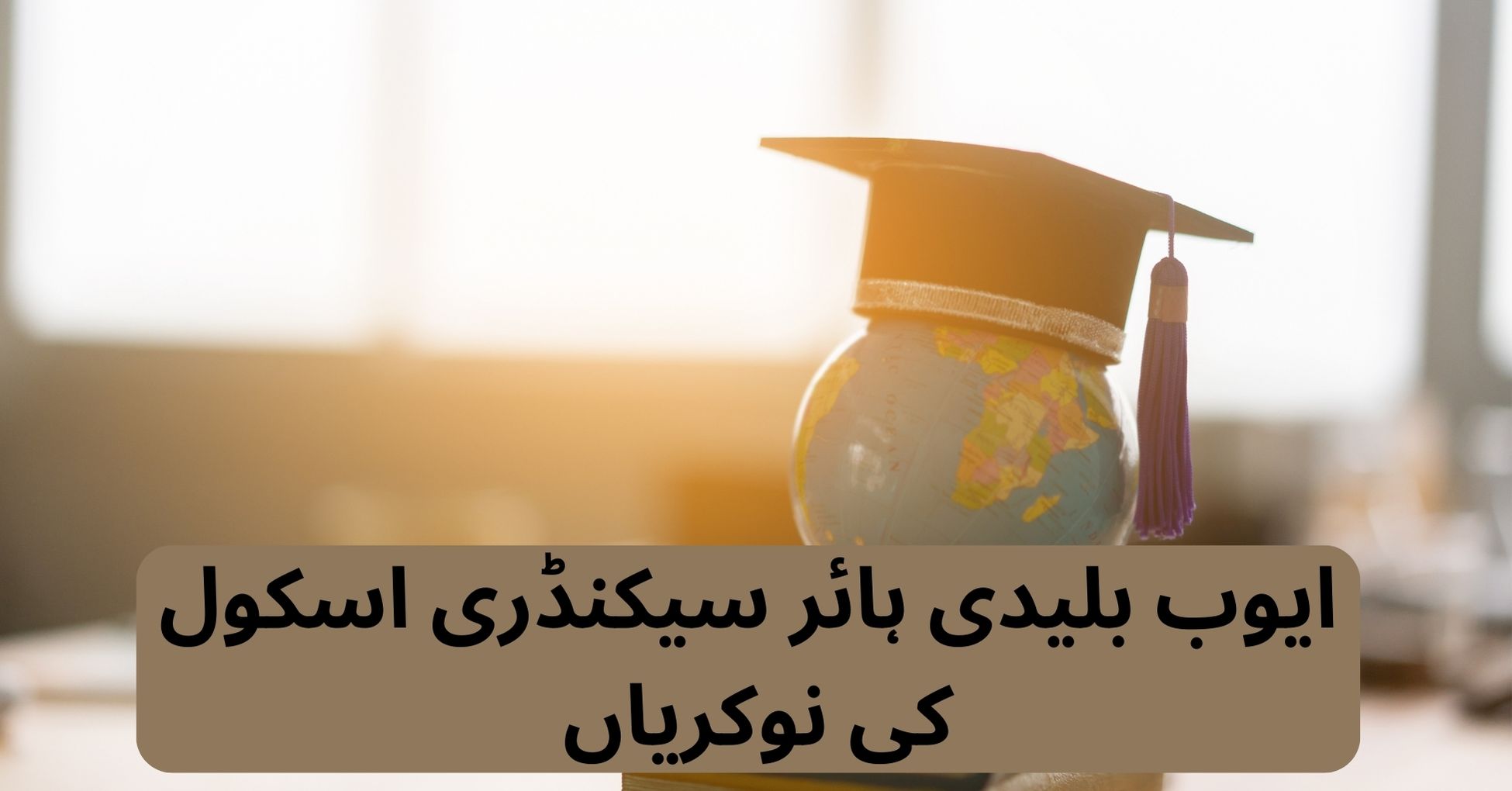 Higher Secondary School Jobs 2024