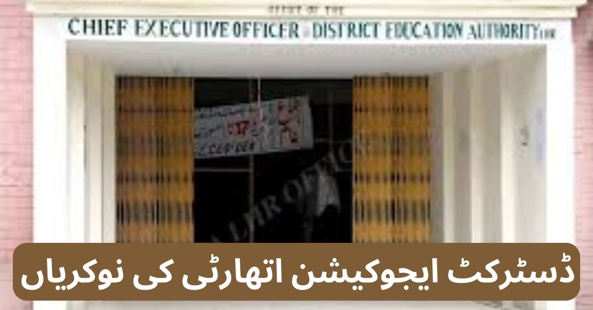 District Education Class VI Jobs 2024
