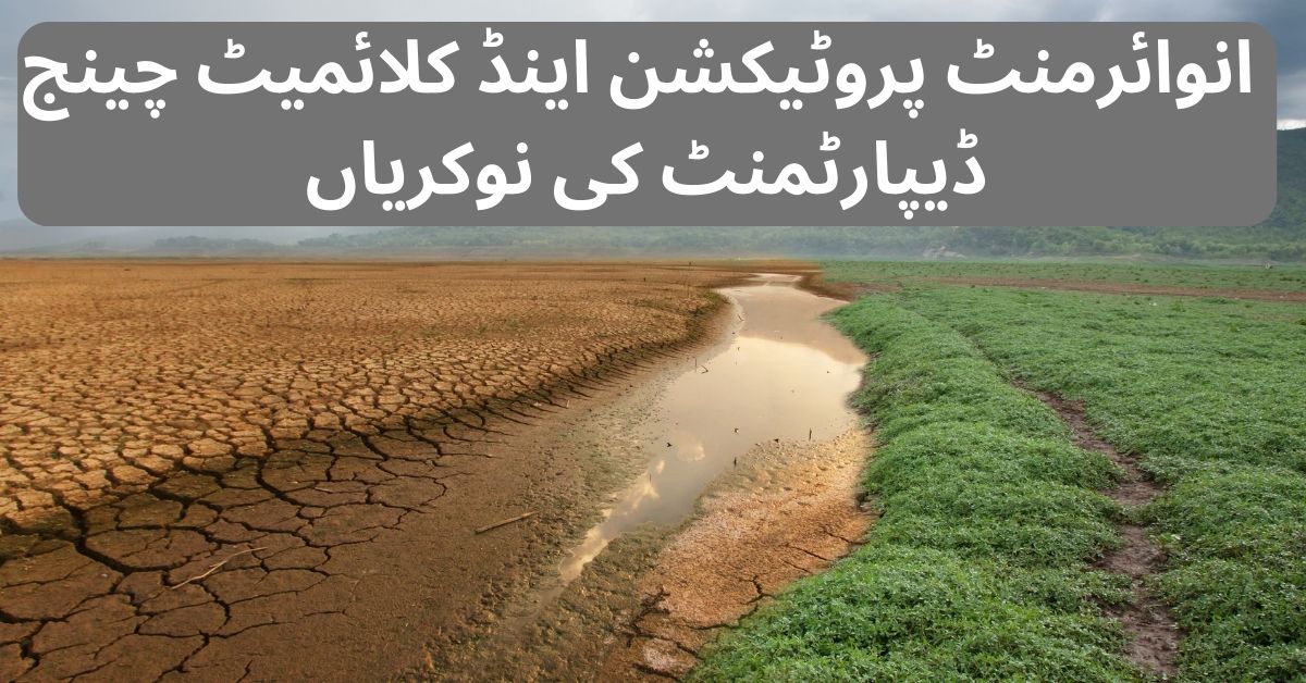 CM Punjab Climate Leadership Development Internship Program