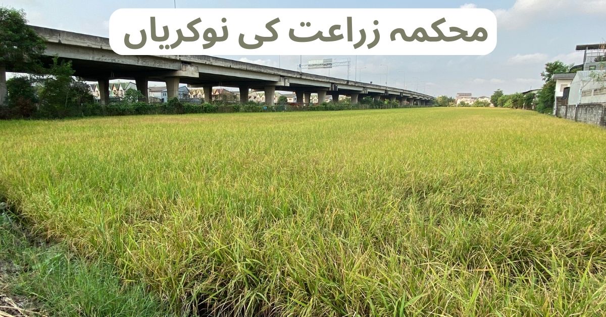 Agriculture Internship Program 2024