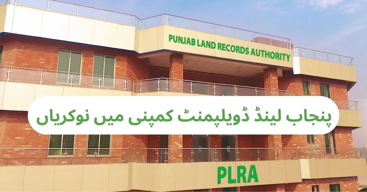 Punjab Land Development Company Jobs