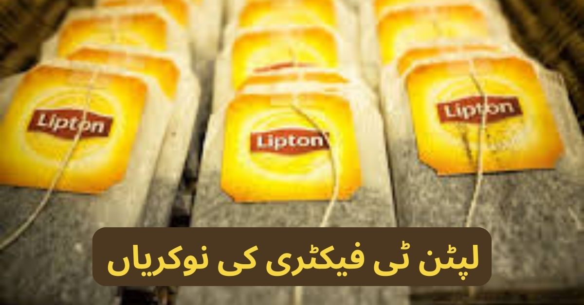 Lipton Tea Factory Jobs 2024