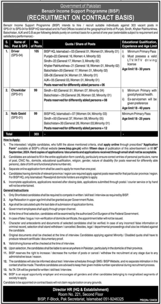 Benazir Income Support Programme Jobs 2024