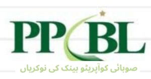 Provincial Cooperative Bank Jobs 2024