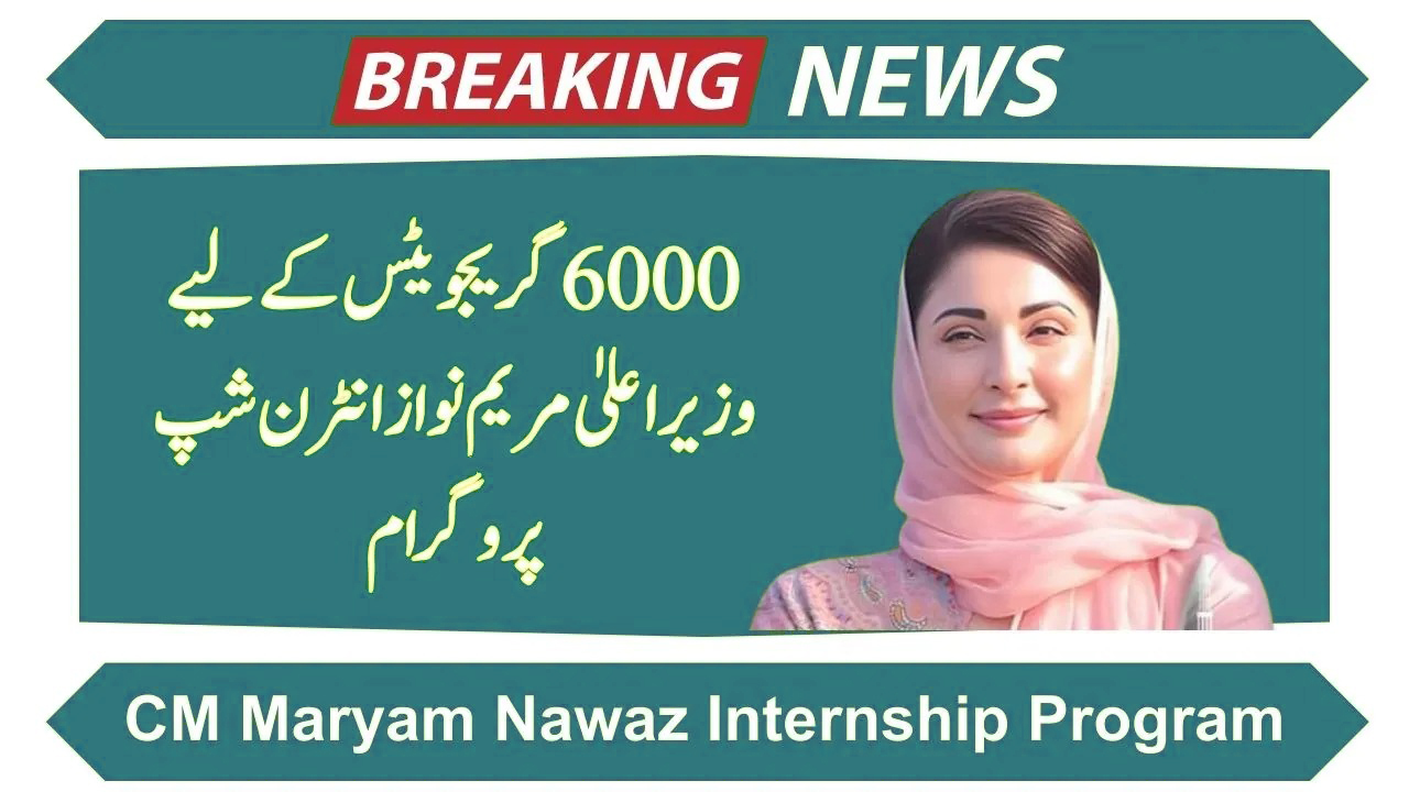 Chief Minister Internship Program