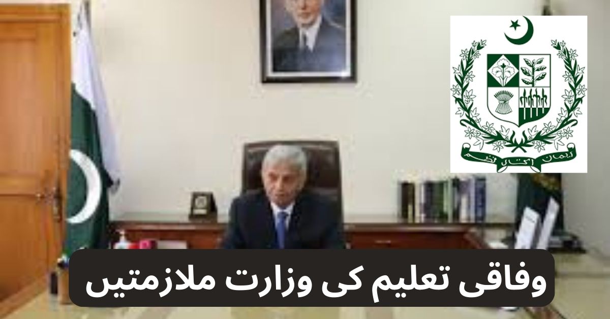 Ministry Of Federal Education Jobs 2024 Ministry Of Federal Education Jobs 2024