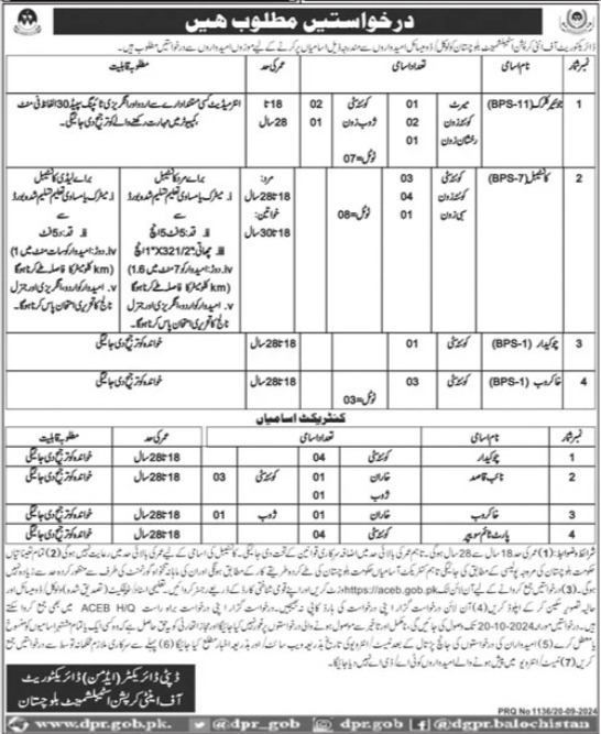 Directorate Of Anti Corruption Establishment Jobs 2024