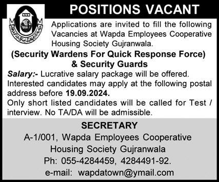 Wapda Employees Cooperative Society Jobs 2024