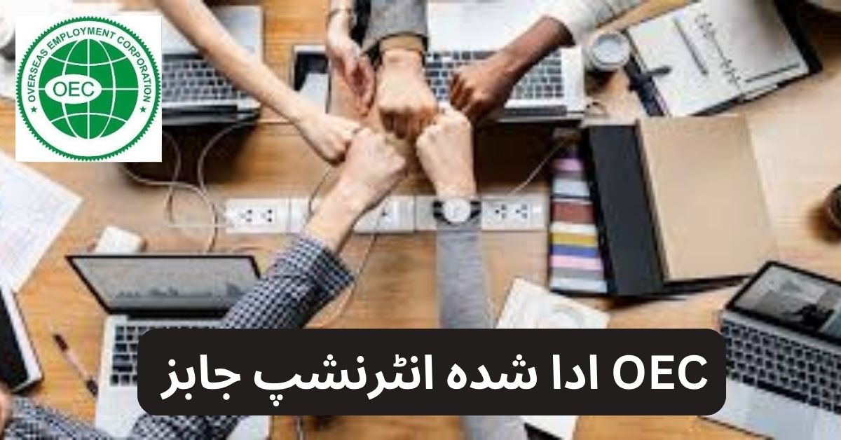 OEC PAID INTERNSHIP 2024