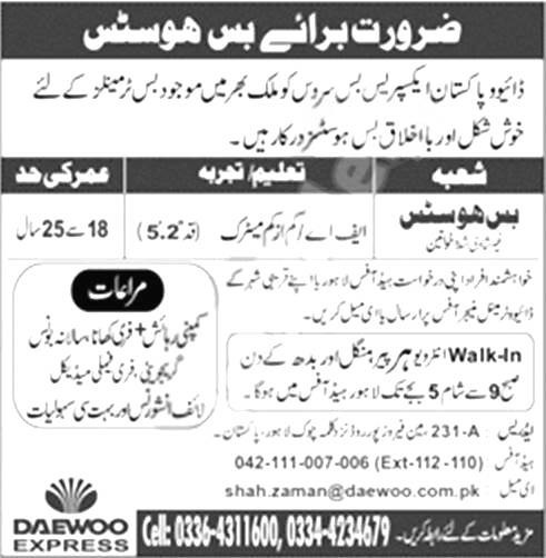 Daewoo Express Jobs 2024