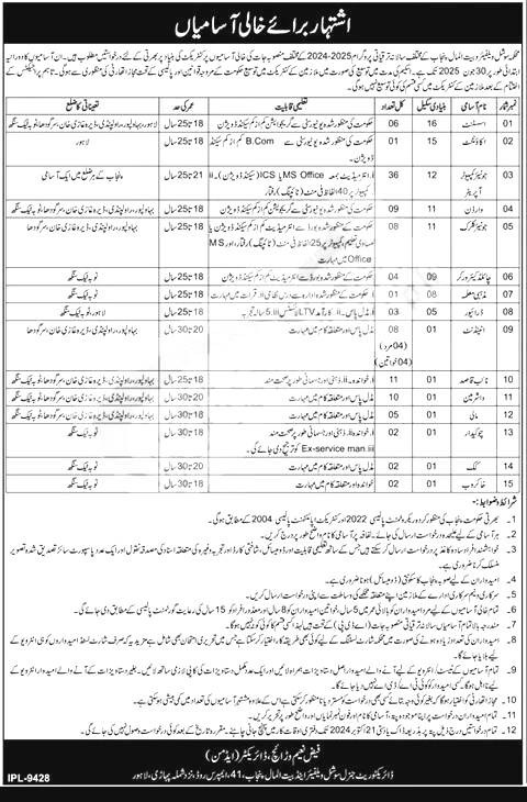 Social Welfare and Bait-Ul-Maal Jobs 2024