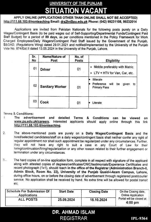 University Of The Punjab Jobs 2024