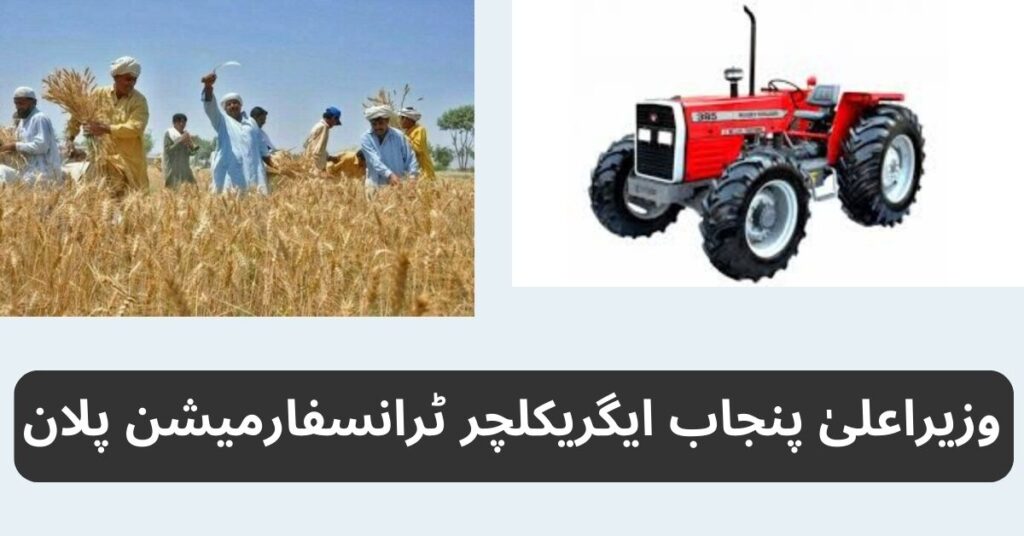 Chief Minister Punjab Agriculture Transformation Plan