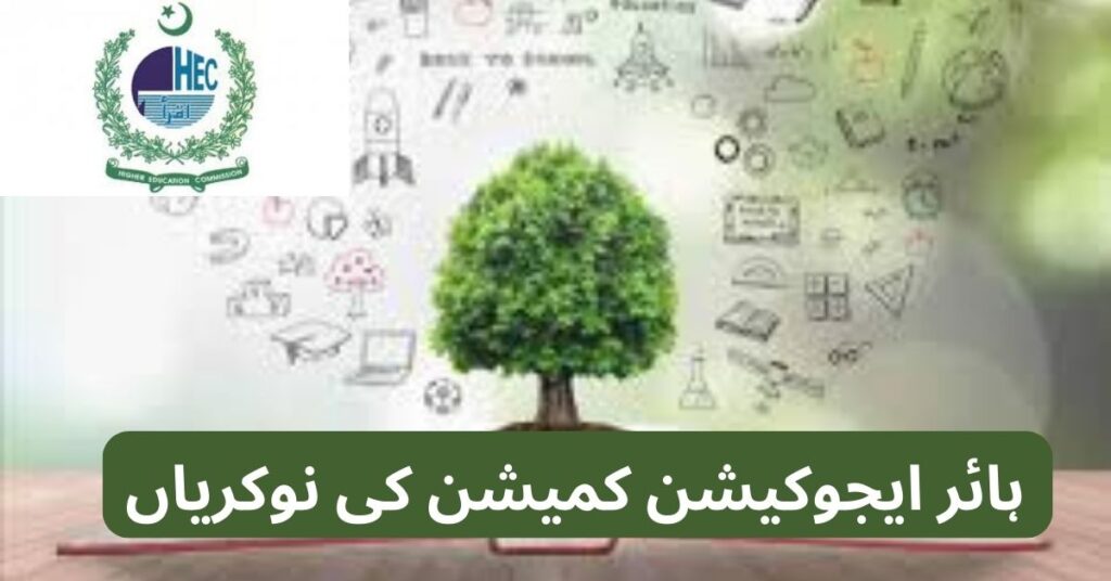 Higher Education Commission Jobs 2024