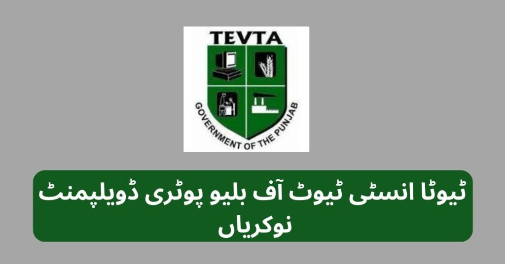 TEVTA Institute Of Blue Pottery Development Jobs 2024