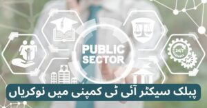 Public Sector IT Company Jobs 2024