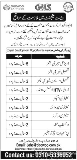 Daewoo Express Jobs 2024