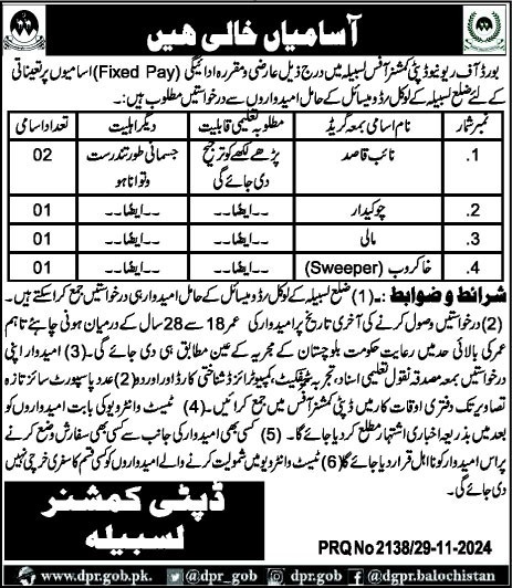 Deputy Commissioner Jobs 2024