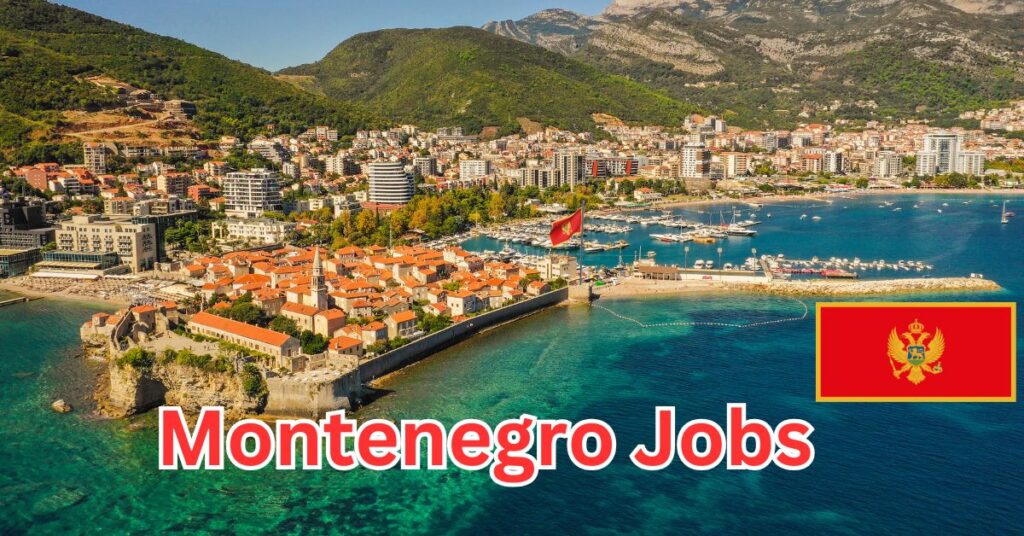 Montenegro Jobs Apply Online