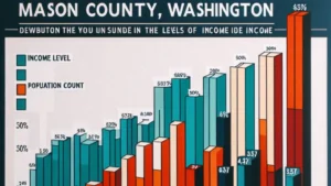 What is the Level of Income in Mason County Washington