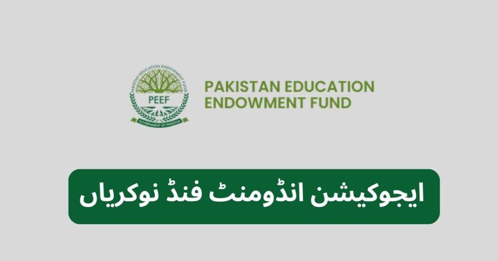 Education Endowment Fund Jobs 2024