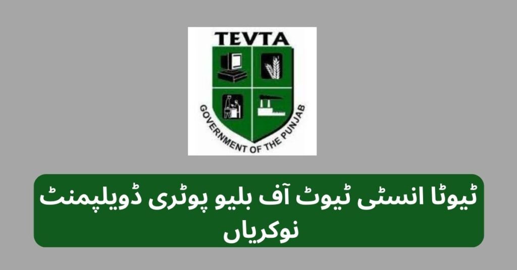 TEVTA Institute Of Blue Pottery Development Jobs