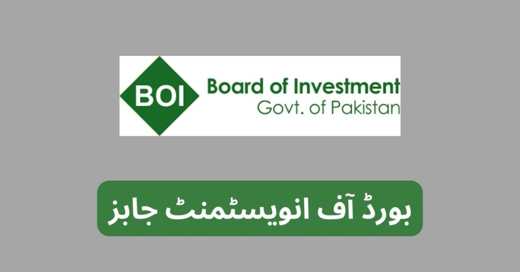 Board of Investment Jobs 2024