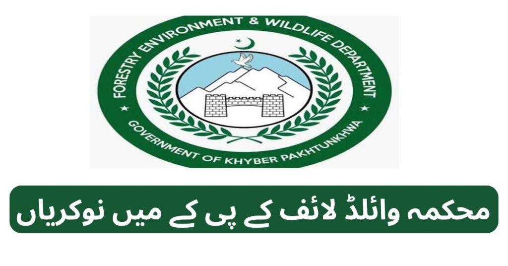 Wildlife Department KPK Jobs 2024