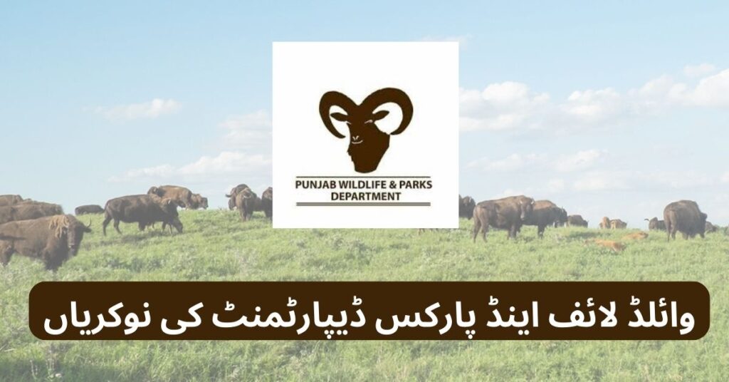 Wildlife & Parks Department Jobs 2025