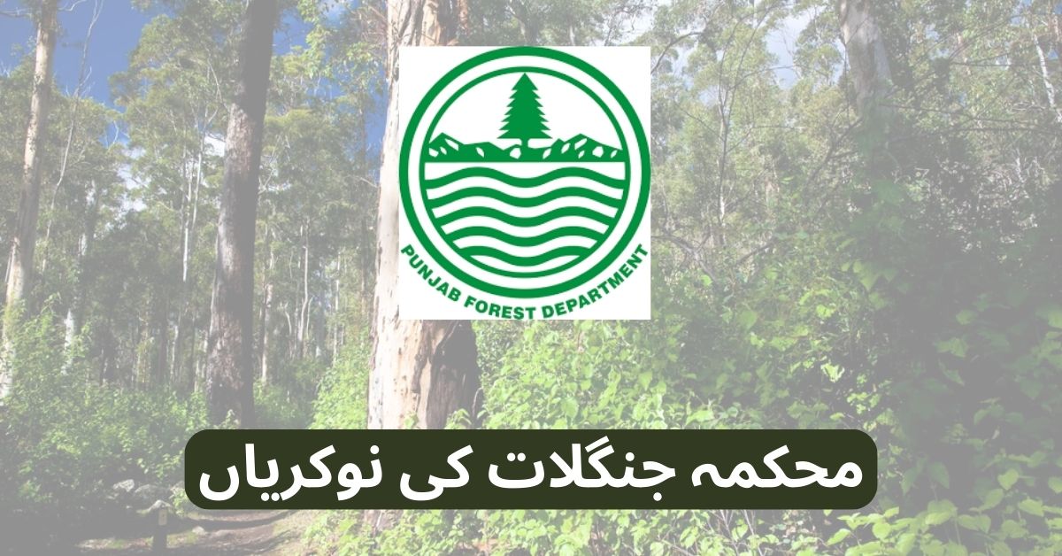 Forest Department Jobs 2025