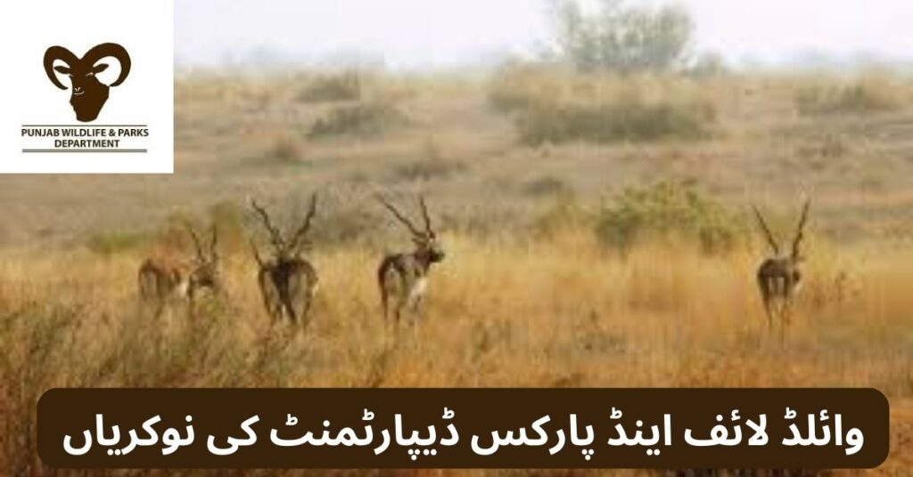 Wildlife & Parks Department Jobs 2024