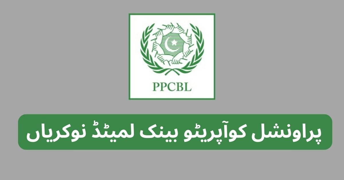 Provincial Cooperative Bank Limited Jobs 2025 Say Job City