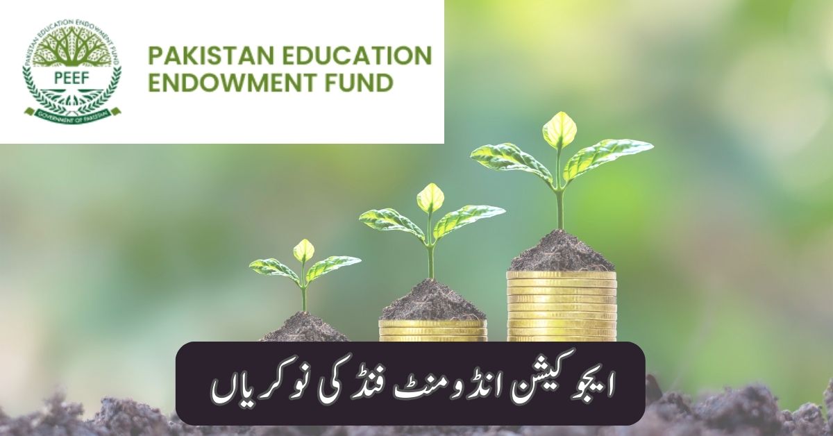 Education Endowment Fund Jobs 2025