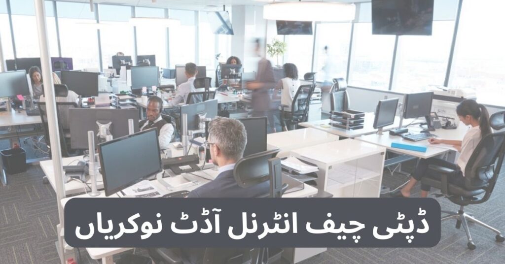 Deputy Chief Internal Audit Jobs 2025