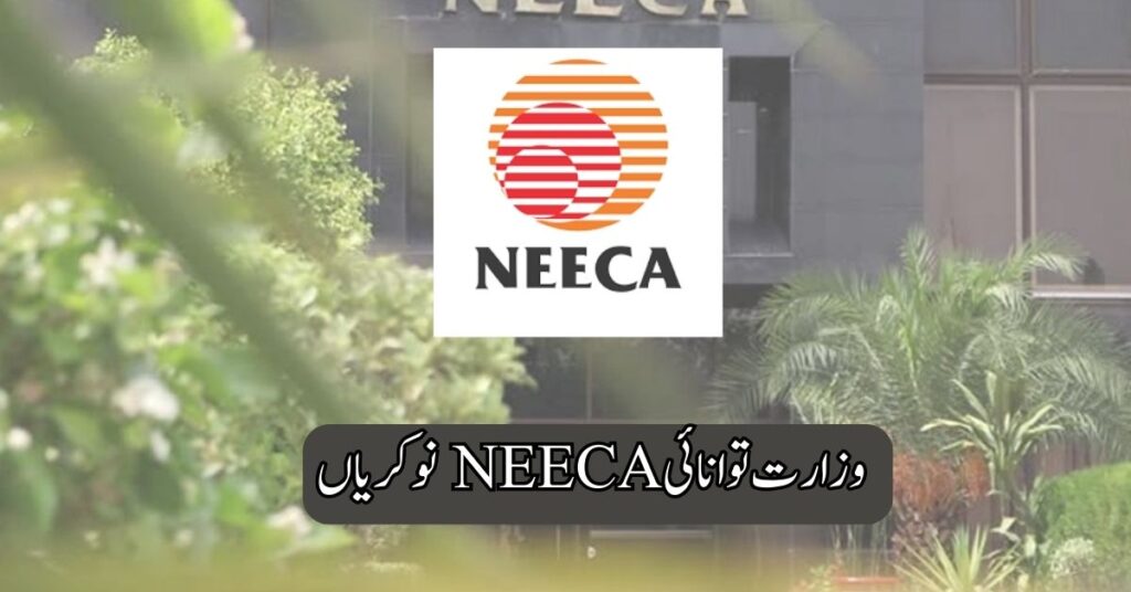 Ministry Of Energy NEECA Jobs 2025