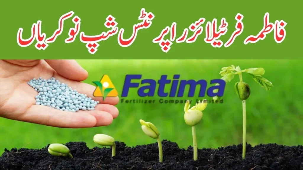 Fatima Fertilizer Apprenticeship Jobs