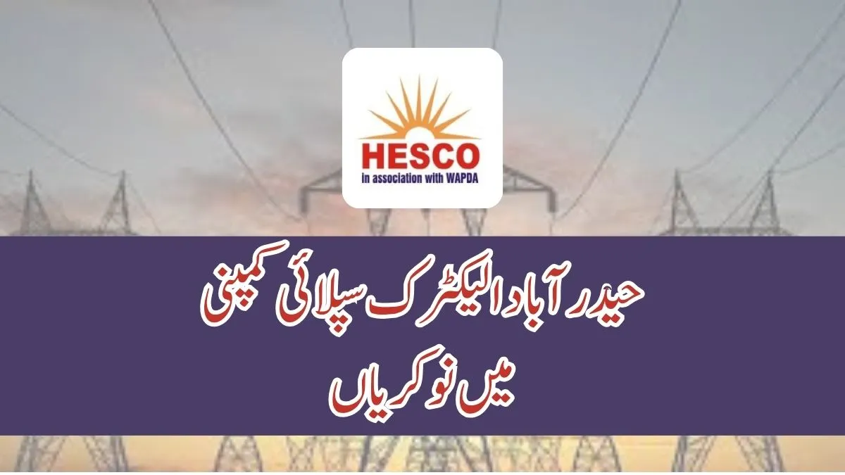 Hyderabad Electric Supply Company HESCO Job 2025