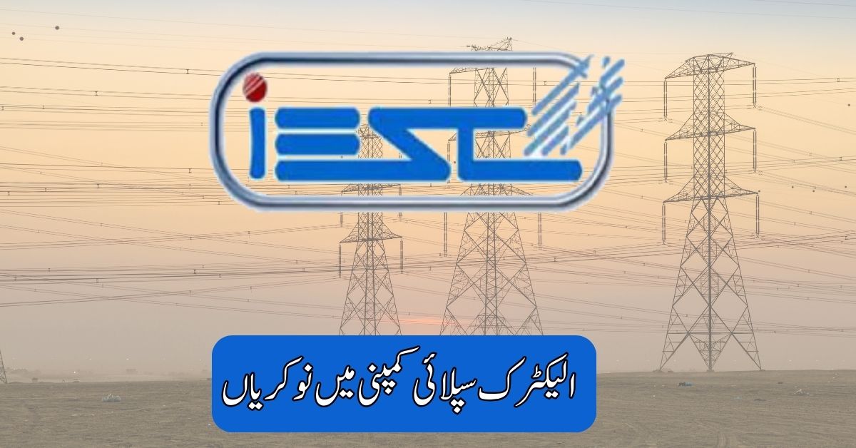 Electric Supply Company Jobs 2025