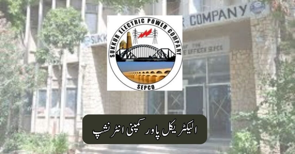 Electrical Power Company Internship 2025