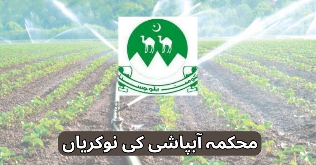 Irrigation Department Jobs 2025