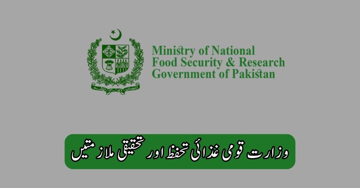 Ministry Of National Food Security & Research Jobs 2025