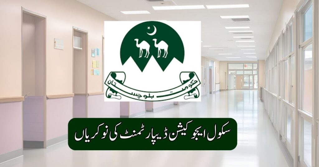 School Education Department Jobs 2025