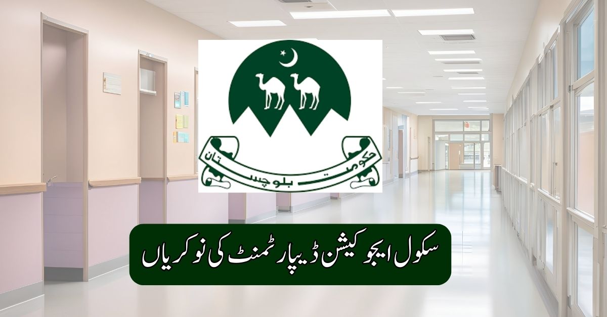 School Education Department Jobs 2025