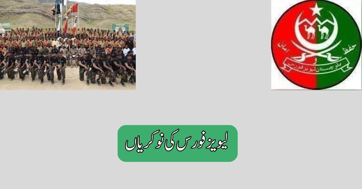 Levies Force Class VI Jobs 2025