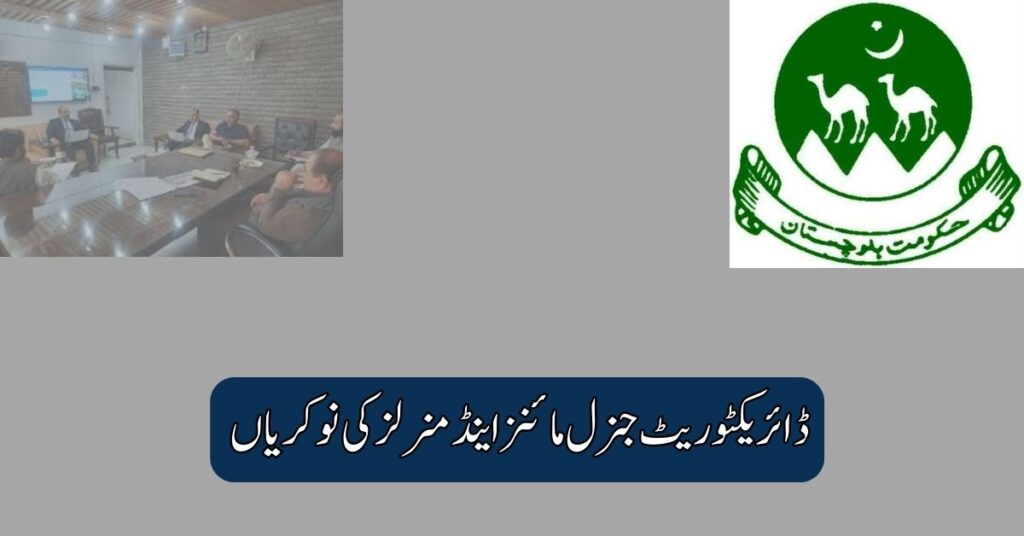Directorate General Mines And Minerals Jobs 2025