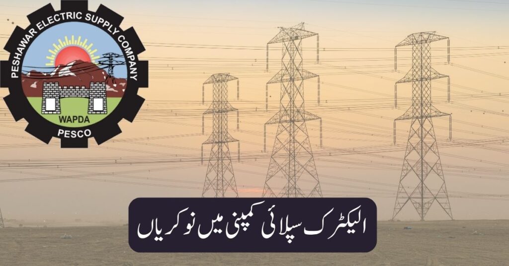 Electric Supply Company Jobs 2025