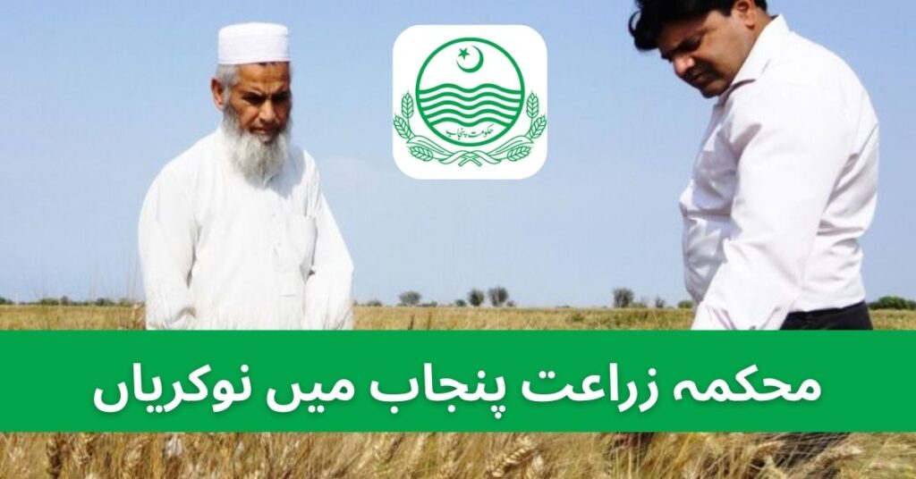 Agriculture Department Punjab Jobs