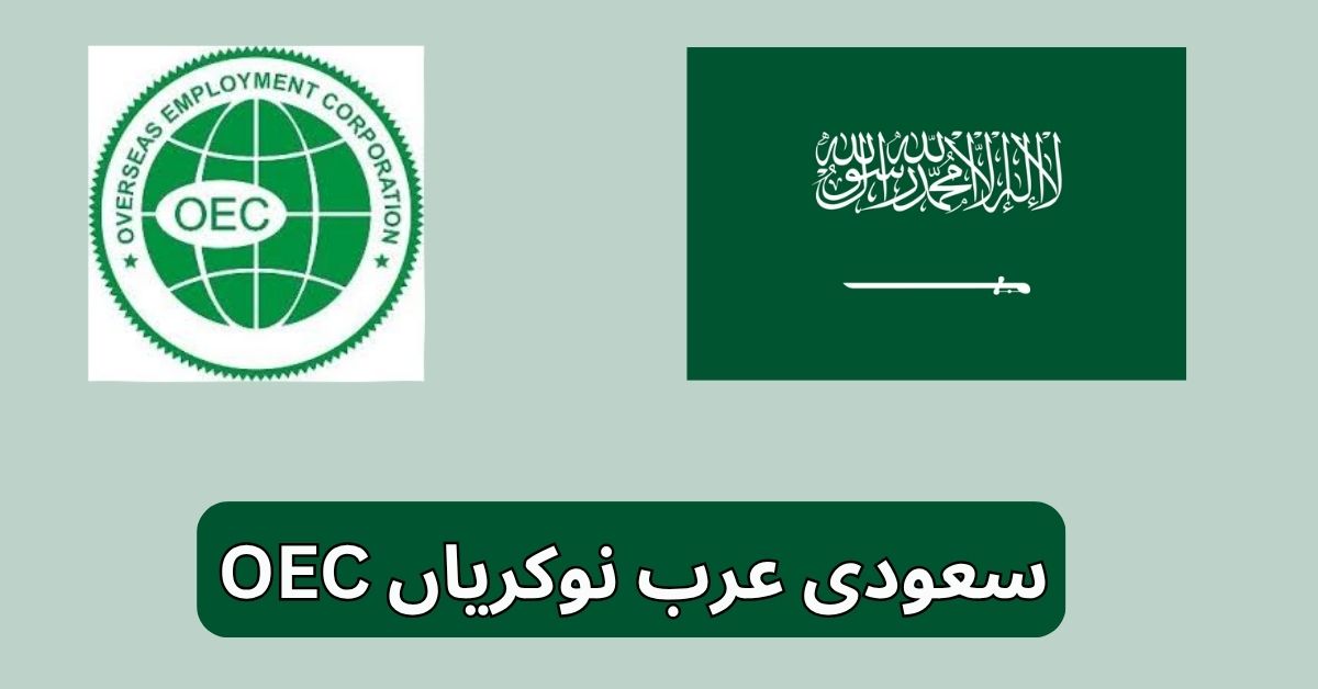 OEC Saudi Arabia Engineers Jobs 2025